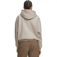 Under Armour Icon Fleece Kapuzenpullover
