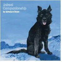 Run For Cover Advance Base - Animal.. -Coloured-