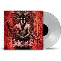 Import ZOS KIA CULTUS - CLEAR VINYL (CVNL) (UK)