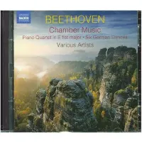 Naxos Beethoven:Kammermusik,CD