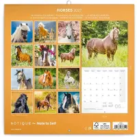 Presco Pferdekalender 2027