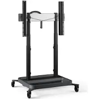Vogel's Trolley motoris. Lift, 80mm/s, DC, Schwa
