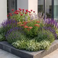 Green Boutiq - Stauden - Beetpaket - Duftend - Verschiedenes - Arten und Farben - 12 Pflanzen - Topf 11cm - Höhe 15-25cm
