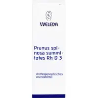 Weleda Prunus Spinos Summit Rh D3 20 ML