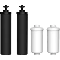 Alapure Set Wasserfilterelemente + Berkey PF-2 geeignet für Black Berkey