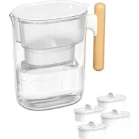 Waterdrop Chubby 3.5L Wasserfilter-Kanne mit 4×90 Tage Filterkartusche, NSF e, BPA-frei, Transparent (Ersatzfilter: WD-PF-01A Plus)