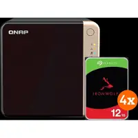 Qnap TS-464-8G + Seagate Ironwolf 12 TB 4er-Pack