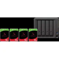 Synology DS925+ + Seagate Ironwolf 12 TB 4er-Pack