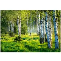 WALLARENA Fototapete Wald in Zielony | Gr.: 250 x 175 cm