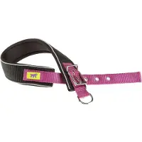 Ferplast Daytona Comfort 40 Mm 45 Cm Hundehalsband