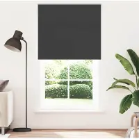 vidaXL Verdunkelungsrollo Schwarz 130x210 cm Stoffbreite 126,6 cm