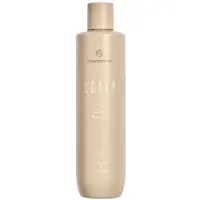 Metamorphose Oily Scalp Shampoo - 300ml