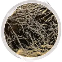 Godox AD S inner reflector gold/silver