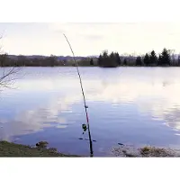 Delphin DANGER CatFISH 285cm/350g/2Teile