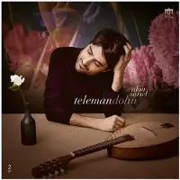 Brilliant Classics Telemandolin