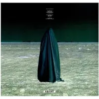 Snapper Consignment Radiation (2LP)