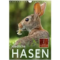 CALVENDO Niedliche Hasen (Wandkalender 2024 DIN A4 hoch), Monatskalender: Eindrucksvolle Bilder der scheuen Tiere. (Tiere)