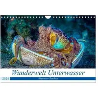 CALVENDO Wunderwelt Unterwasser (Wandkalender 2024 DIN A4 quer), Monatskalender: Tauchen in Moaboal/Philippinen (Tiere)