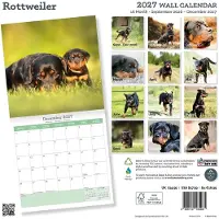 Baker & Bray Rottweiler Kalender 2027