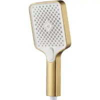 REA Handbrause Js-031 Brush Gold