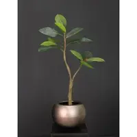 Fleur Ami Kunstpflanze mit Topf Ficus Elastica 90 cm mit Royal Globe Gefäß