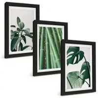 Tulup BILDER SET 3er Set - 20x30 cm Schwarzer Rahmen - Bambusstängel und Monstera-Blätter