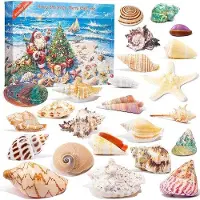 OEM Adventskalender 2025 – Weihnachtsgeschenk – Muscheln – Seesterne – Schneckenhaus – Strandthema – Vorweihnachtszeit – 24 verschiedene Farben/Formen – Dekoration für den Haushalt