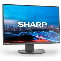Sharp MultiSync EA241W, 61 cm (24"), 1920 x 1200 Pixel, Full HD, LCD, 5 ms, Schwarz