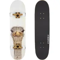 Firefly Skateboard SKB 505
