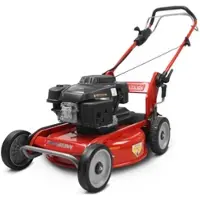 Weibang WB537SCM - Mulchmäher - 53 cm Schnittbreite