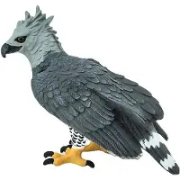 Safari Harpyie From 3 Years Grey / Black