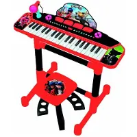 Reig Musicales Organ With And Bench Lady Bug Mikrofon