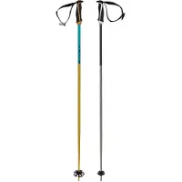 Völkl Phantastick 18mm Stöcke