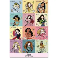 Grupo Erik Disney Princess Poster
