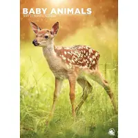 CalendarsRUs Babytiere A3-Kalender 2027