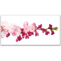 Drukarnia Piga Küchenrückwand aus Glas 120x60cm Spritzschutz Blüten Zweig Pflanzen