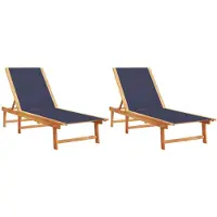 vidaXL Fahonor (2x Sonnenliege)