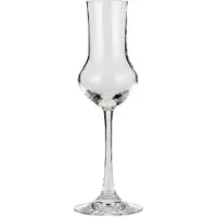 Spiegelau Vino Grande Grappaglas 12 Cl 6er-set