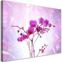 Feeby WANDBILD orchidee blumen zen spa