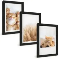 Tulup BILDER SET 3er Set - 20x30 cm Schwarzer Rahmen - Niedliche Tiere, Katzen, Hunde, Boho-Stil