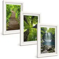 Tulup BILDER SET 3er Set - 20x30 cm Weißer Rahmen - Pfad Wald Wasserfall Vegetation