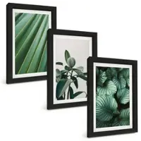 Tulup BILDER SET 3er Set - 20x30 cm Schwarzer Rahmen - Ästhetische tropische Blätter