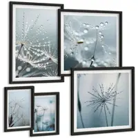 Tulup BILDER SET 5er Set - 50x50 cm & 20x30 cm & 40x60 cm Schwarzer Rahmen - Tautropfen auf Löwenzahn