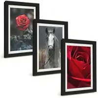 Tulup BILDER SET 3er Set - 20x30 cm Schwarzer Rahmen - Rote Rosen, Pferdegrau, Welt