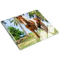 Tulup GLASPLATTE 60x52 cm Pinto-Pferd