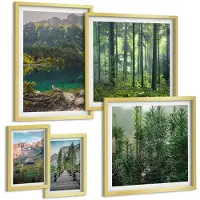 Tulup BILDER SET 5er Set - 50x50 cm & 20x30 cm & 40x60 cm Goldrahmen - Minimalistische Pflanzenzeichnungen