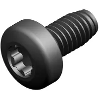 Bosch Schraube 40x8/7 TORX (10x) - 7746900442