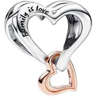 Sonstiges Bead Charms Kirschblüten Family is Love Kompatibel mit Pandora für Damen