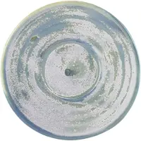 Genware Terra Porcelain Seafoam Untertassen 11,5 Cm