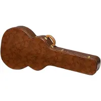 Gibson Lifton Historic Brown/Rosa Hartschalenkoffer SJ-200